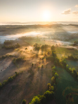 Aerial view of the misty landscape at sunrise with golden light filtering through trees and fields in Loubressac, Occitanie, France.