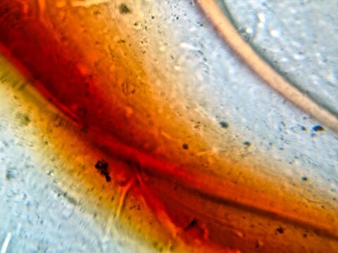 Microscopic abstract texture of amber resin and glass marble with veins