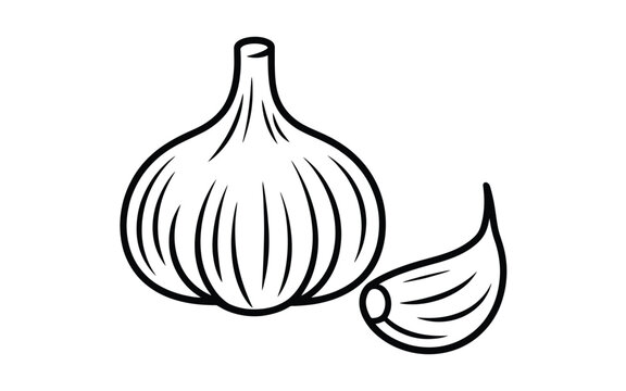 Fresh garlic bulb and clove line art icon vector illustration for organic vegetable food outline design isolated on white background
