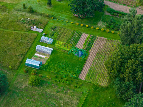 Aerial view of a rural garden featuring three greenhouses and organized vegetable plots surrounded by lush green fields and trees in Anyksciai District Municipality, Utena County, Lithuania.