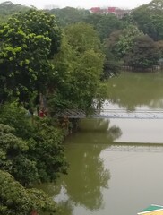 Fototapeta premium River surrounded by lush green trees features a metal bridge.