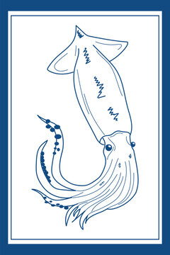 Squid doodle line art clipart for seafood menus, fish market materials and marine food projects, hand drawn blue vector illustration framed on white background.