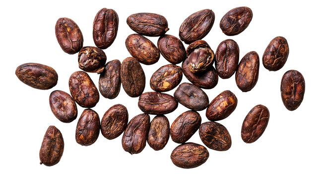 Raw cacao beans scattered on white surface