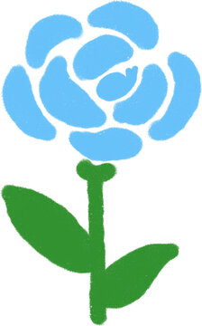 whale rose