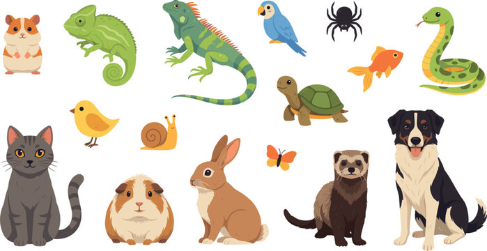 Set of cute domestic pets and exotic animals vector illustration collection featuring dog cat rabbit hamster iguana snake parrot and turtle isolated on white background