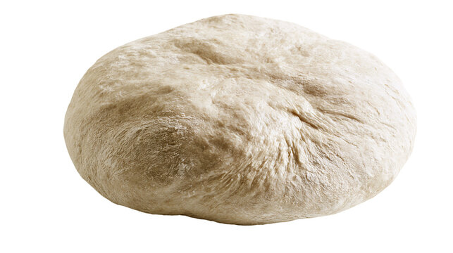 Raw bread dough ball with textured surface