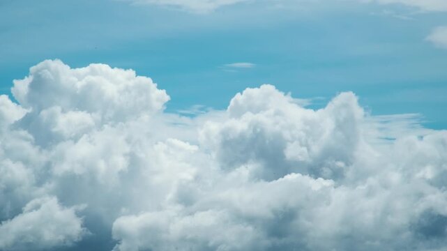 湧き上がる夏雲と赤トンボ