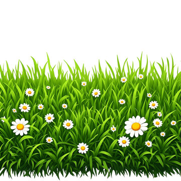 green grass with flowers