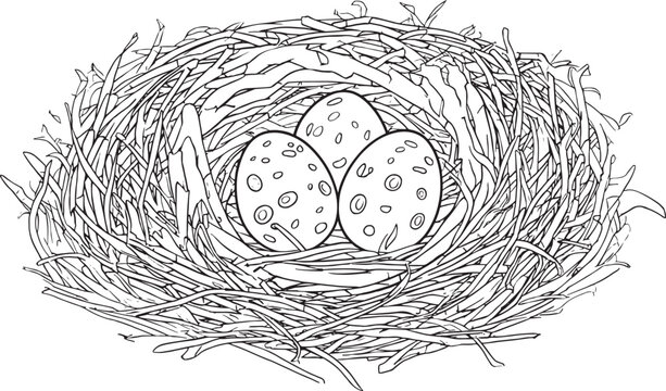 Hand Drawn Bird Nest with Spotted Easter Eggs Line Art Vector Illustration Isolated on White Background