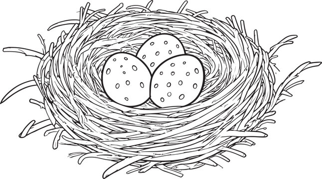 Hand Drawn Bird Nest with Spotted Easter Eggs Line Art Vector Illustration Isolated on White Background
