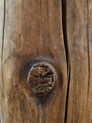 Fototapeta premium Close up of natural wood texture with knot
