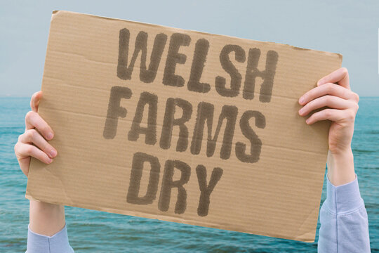 "Welsh Farms Dry" Agricultural land in Wales suffers from water shortage. WALES. FARMS. DROUGHT. WATER. CRISIS.