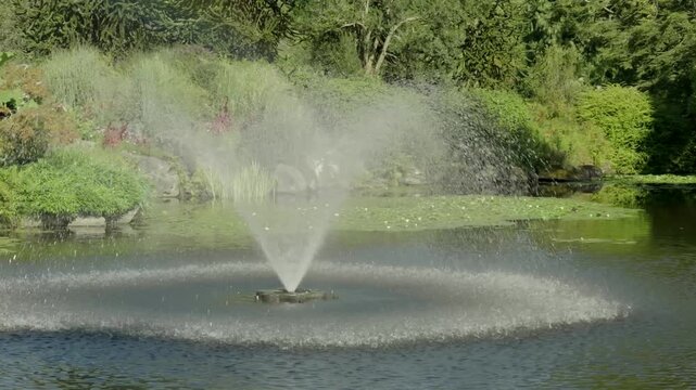 Water Fountain Spraying in a Lush Green Garden Pond