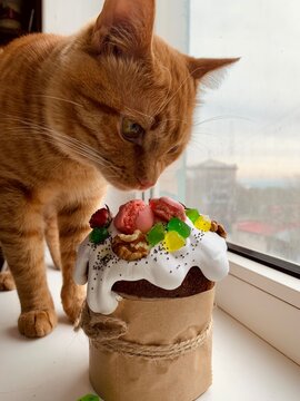 A cute ginger tabby cat sniffing a traditional Easter cake (kulich) decorated with white icing, colorful candied fruit, and macarons on a windowsill. Festive holiday baking concept.