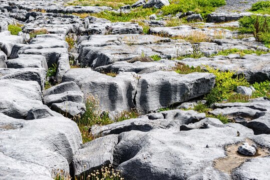 Limestone Pavement at Doolin 3