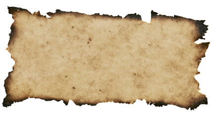 Fototapeta premium Burnt edge old parchment paper texture