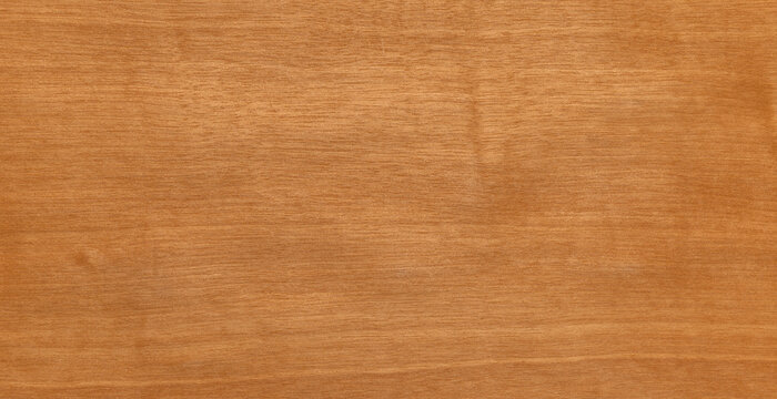 Anigre wood natural texture background