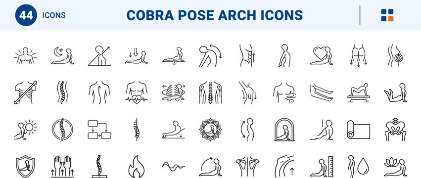 Cobra pose arch line icon set. Vector pictograms of back, yoga, stretch, and spine elements, thin linear illustration.