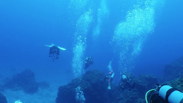 八丈島の海で立ち上るたくさんの泡とダイバーたちのグループ