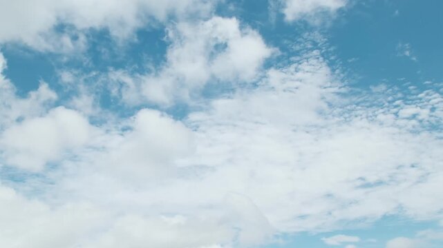 夏の青空に広がる爽やかな白い雲