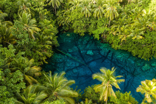 Aerial view of the crystal-clear blue waters of Danau Paisu Pok Luk Panenteng surrounded by lush tropical palm trees and dense jungle foliage in Bulagi Utara, Central Sulawesi, Indonesia.