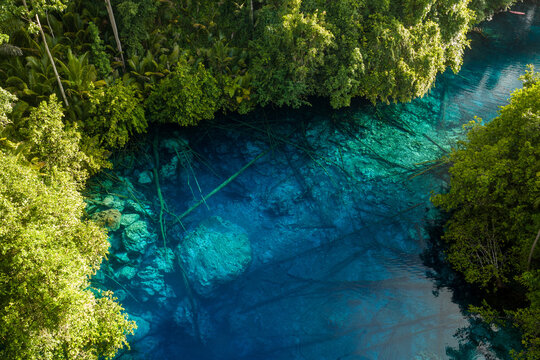 Aerial view of Danau Paisu Pok Luk Panenteng with crystal clear blue water, submerged logs, and lush green tropical trees in Bulagi Utara, Central Sulawesi, Indonesia.