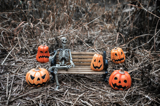 Dark mysterious and moody autumn. spooky skeleton sitting on a wooden bench surrounded by carved jack-o'-lantern pumpkins in dry grass field. Halloween concept and scary seasonal decoration.