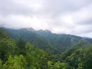 Fototapeta premium Panoramic view of misty green mountain range covered with thick clouds at Hangyeoryeong Pass