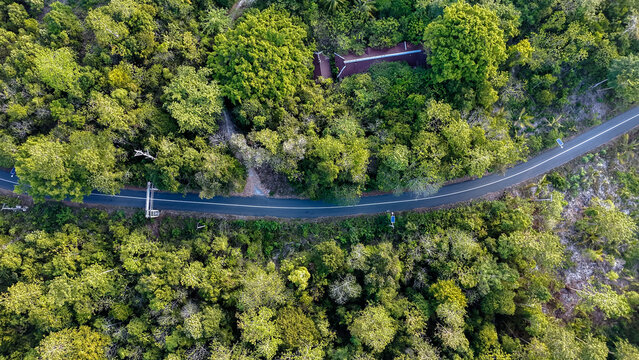 Aerial view of a winding asphalt road cutting through a dense tropical forest with a small building nestled among the trees in Indonesia.