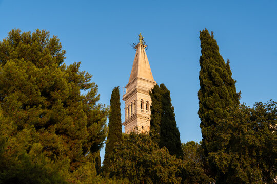 The bell tower of the Church of St. Euphemia in Rovinj, Croatia, stands majestically framed by tall cypress trees and Mediterranean vegetation.