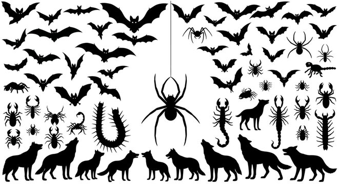Halloween silhouette collection, black bat and spider vector set, spooky animal icons, creepy crawly insect and wolf silhouettes