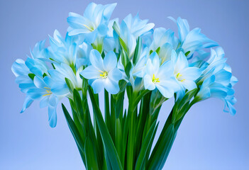 Fototapeta premium Fresh blue flowers bouquet, spring and nature concept, floral arrangement with vibrant petals and green stems on a soft background