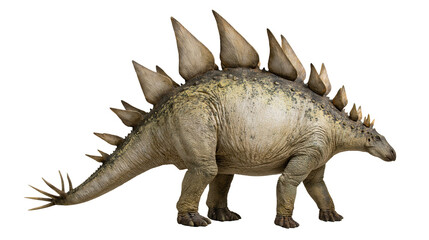 Stegosaurus dinosaur with plates and tail spikes © Eustace