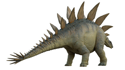 Stegosaurus dinosaur with plates and spiked tail © Eustace