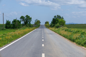 Naklejka premium Rural road extending into distance through alentejo landscape