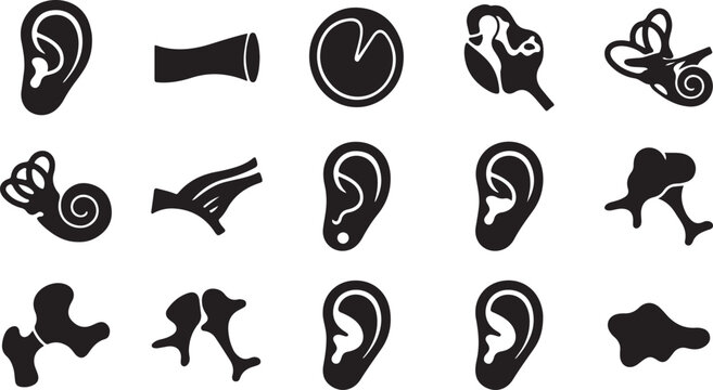 A collection of black silhouette representing human ear anatomy, including the outer ear, ear canal, cochlea, semicircular canals, and various ossicles isolated on a white background