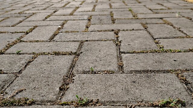 Low angle view of weathered gray concrete paving stones forming a textured outdoor walkway