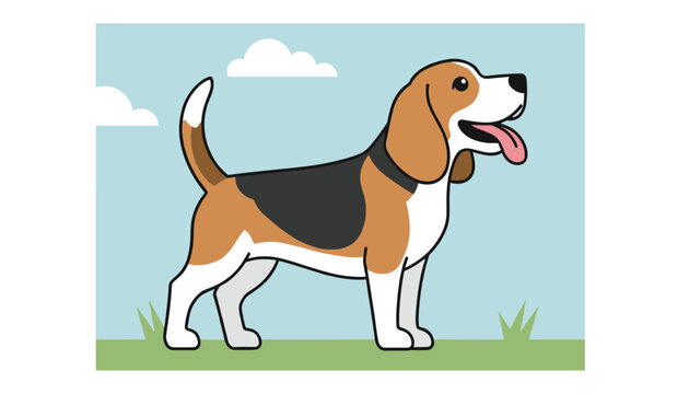 Cute beagle dog standing sideways in a grassy field with green grass, white clouds, and a soft blue sky background.