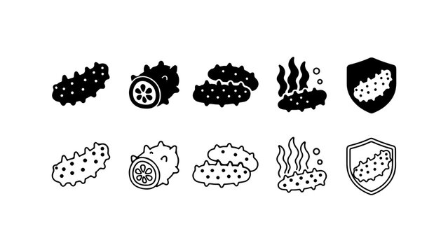 Sea Cucumber Icon Set in Silhouette and Outline Style Vector