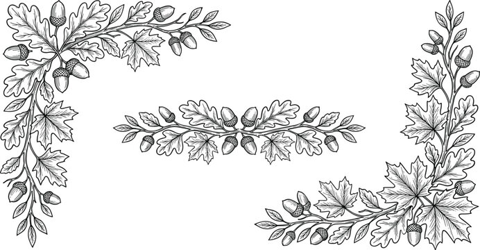 Hand drawn autumn botanical corner frames and divider set with oak leaves and acorns vector illustration