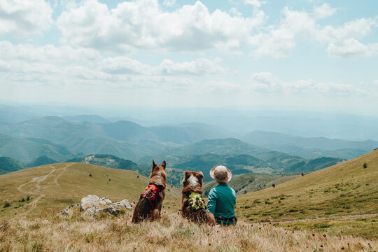 A woman sits with a German Shepherd and an Australian Shepherd facing a panoramic mountain view in Kopaonik, Serbia. The trio looks across distant ridges