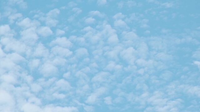 8月の青空に広がる雲