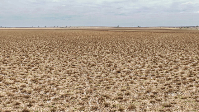 Aerial view of the arid and vast Karoo landscape featuring sparse dry vegetation under a cloudy sky in Beaufort West, Western Cape, South Africa.