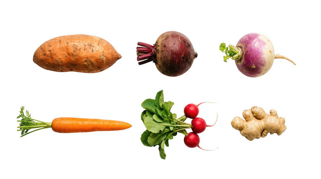 Fresh raw root vegetables including sweet potato beetroot turnip carrot radish and ginger arranged in a collection