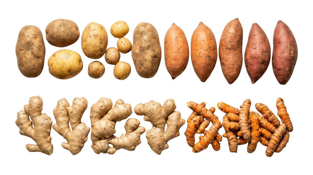 Fresh raw potatoes sweet potatoes ginger and turmeric root vegetables arranged on a flat surface for healthy cooking
