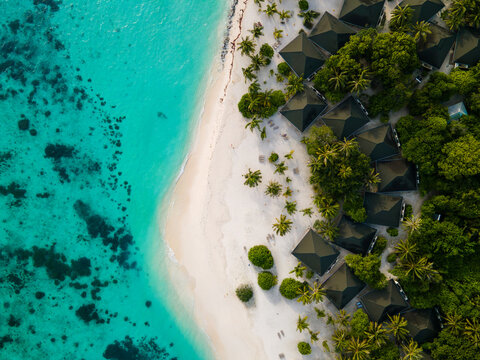 Aerial view of Meedhupparu island resort featuring luxury villas with dark roofs nestled among lush tropical palm trees along a white sand beach and turquoise lagoon in Raa Atoll, Maldives.