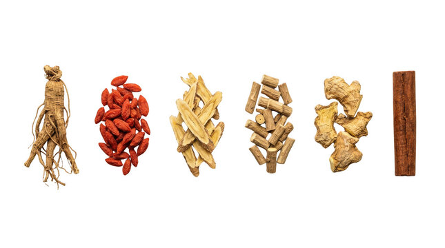 Set of dried traditional chinese medicinal herbs including ginseng goji berries and roots for healthy tea and remedies
