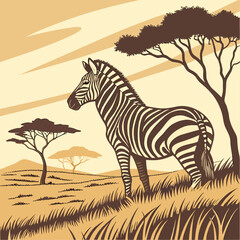 zebra in the wild © Sabbir