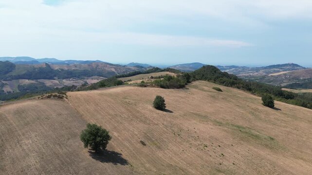 Europe, Italy, Lombardy, Pavia, Mont&ugrave; Berchielli &ndash; drone view of the Oltrep&ograve; Pavese hills; drought and water shortages lead to an early grape harvest for wine production. Global warming and climate ch