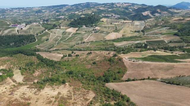 Europe, Italy, Lombardy, Pavia, Mont&ugrave; Berchielli &ndash; drone view of the Oltrep&ograve; Pavese hills; drought and water shortages lead to an early grape harvest for wine production. Global warming and climate ch